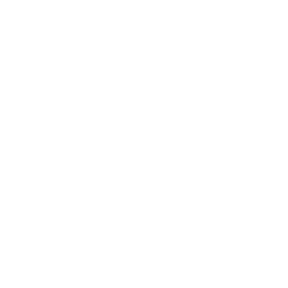 Logo-tt wit